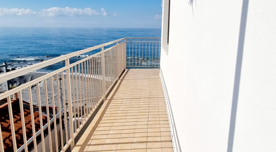 19.02.2024_14.36.34_REC